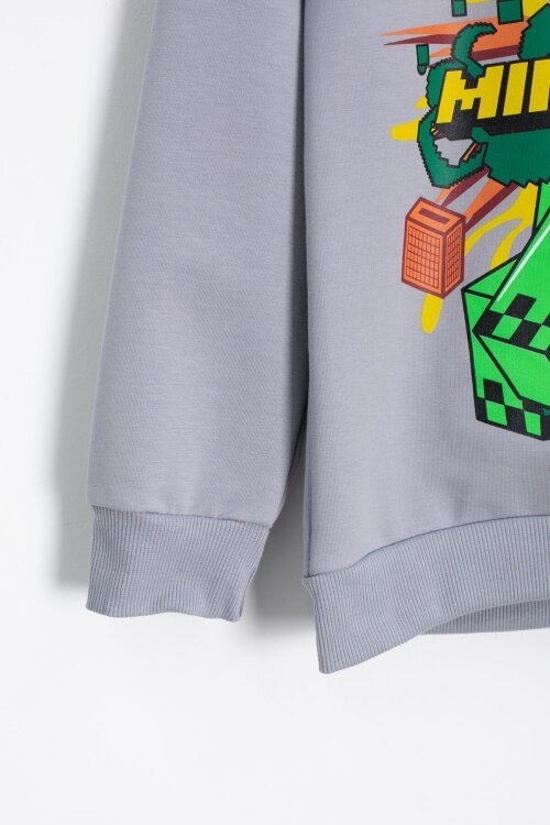 Gri Erkek Çocuk Karakter Baskılı Bisiklet Yaka Eşofman Takımı 23266