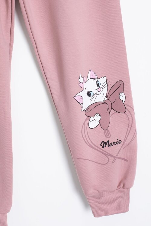 Gül Kurusu Sevimli Kedi Baskılı Kız Çocuk Eşofman Takımı 22761