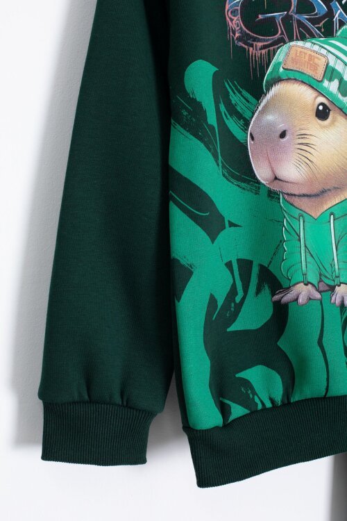 Yeşil Cool Fare Baskılı Şardonlu Erkek Çocuk Eşofman Takımı 23293