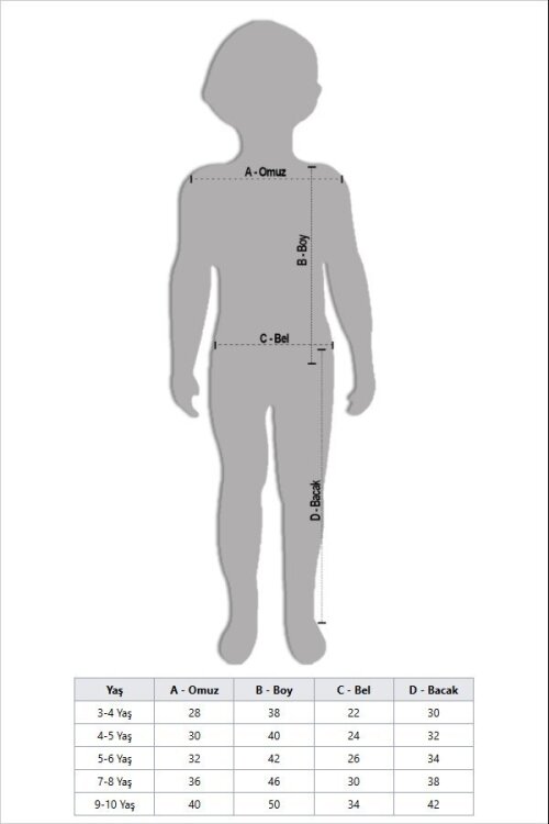 Bej Çizgili Karakter Baskılı Fırfırlı Kız Çocuk Şortlu 2li Takım  23956