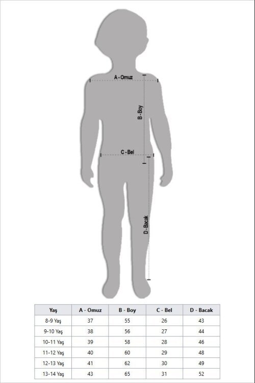 Beyaz Şerit Desenli Logolu Tişörtlü Erkek Çocuk Şortlu Takım 23780