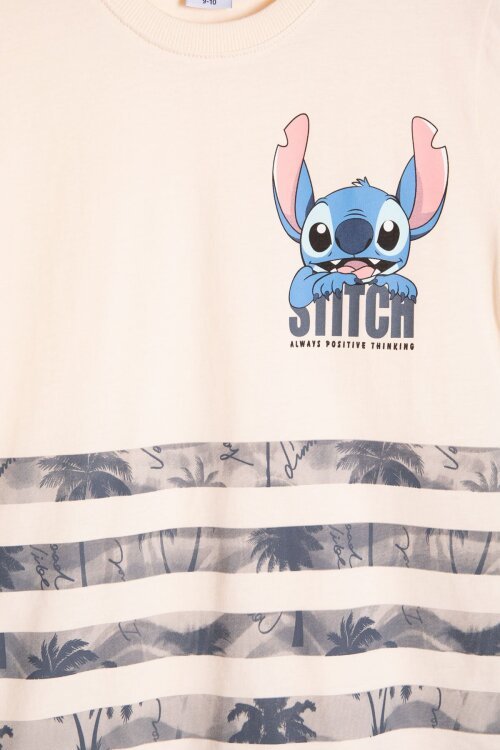 Füme Palmiye Desenli Çizgili Tişörtlü Erkek Çocuk Şortlu 2li Takım 23933