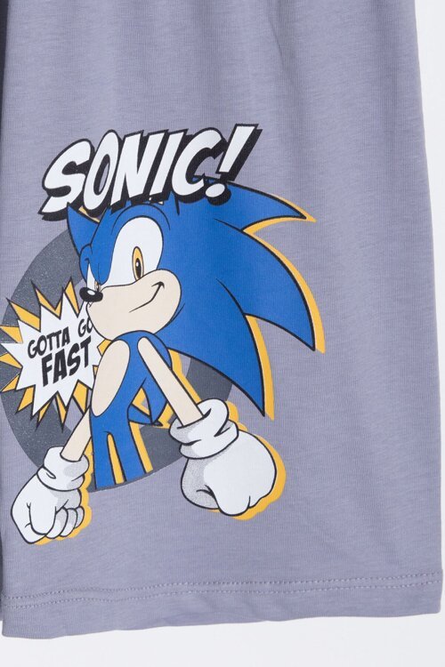 Gri Kirpi Sonic Baskılı Erkek Çocuk Tişörtlü Şortlu 2li Takım 23976