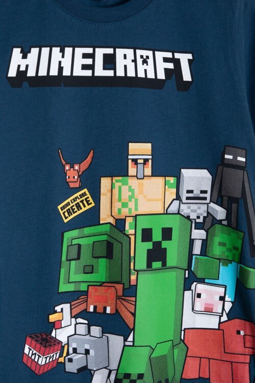 Mavi Erkek Çocuk Oyun Karakter Baskılı Şortlu 2li Takım  23986