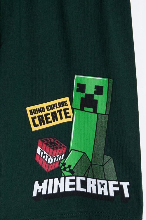 Yeşil Erkek Çocuk Oyun Karakter Baskılı Şortlu 2li Takım  23985