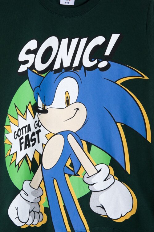 Yeşil Kirpi Sonic Baskılı Erkek Çocuk Tişörtlü Şortlu 2li Takım 23974