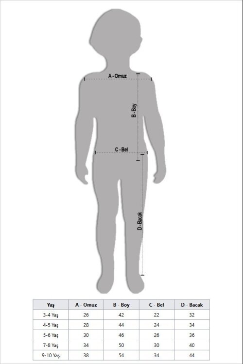 Yeşil Kirpi Sonic Baskılı Erkek Çocuk Tişörtlü Şortlu 2li Takım 23974