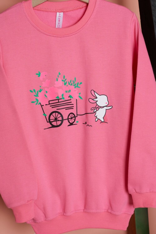 Pembe Çiçekli Tavşan Baskılı Kız Çocuk Sweatshirt 17279
