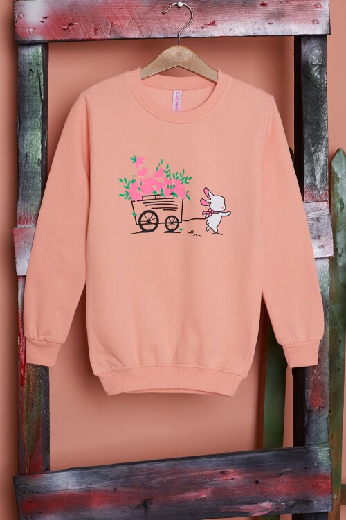 Somon Çiçekli Tavşan Baskılı Kız Çocuk Sweatshirt 17278
