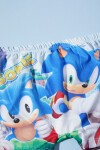 Mavi Sonic Şort ve Boneli Çocuk Mayo Takımı 15619
